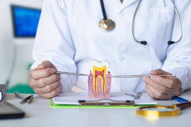 Best Emergency Tooth Extraction in Oakfield, WI